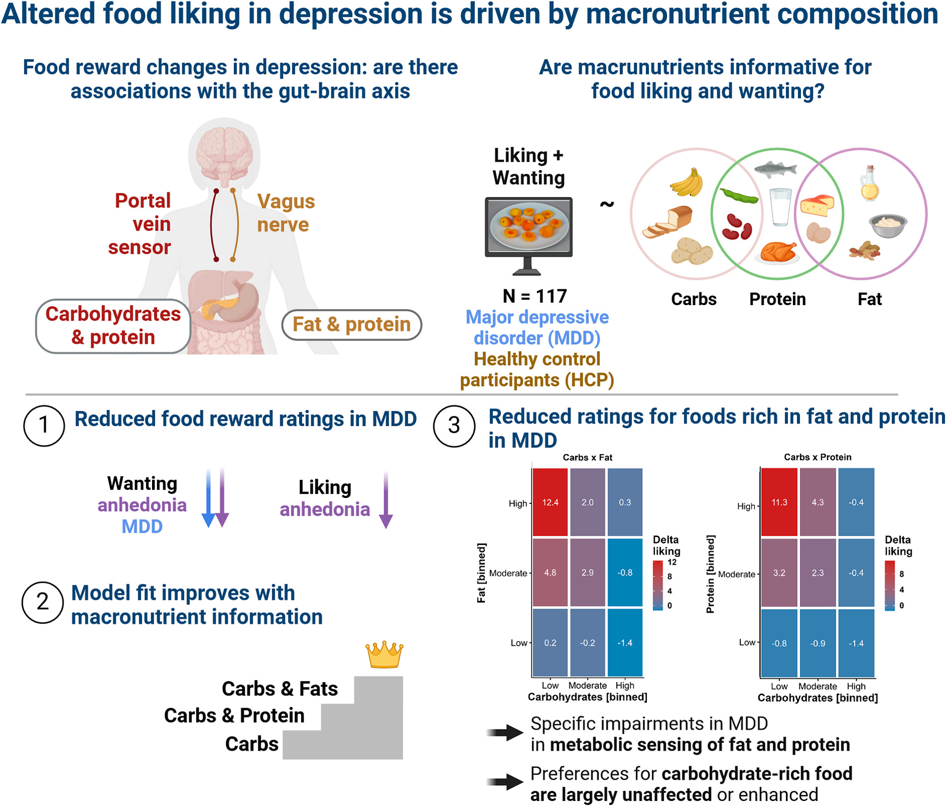 Depression drives sugar cravings, study finds