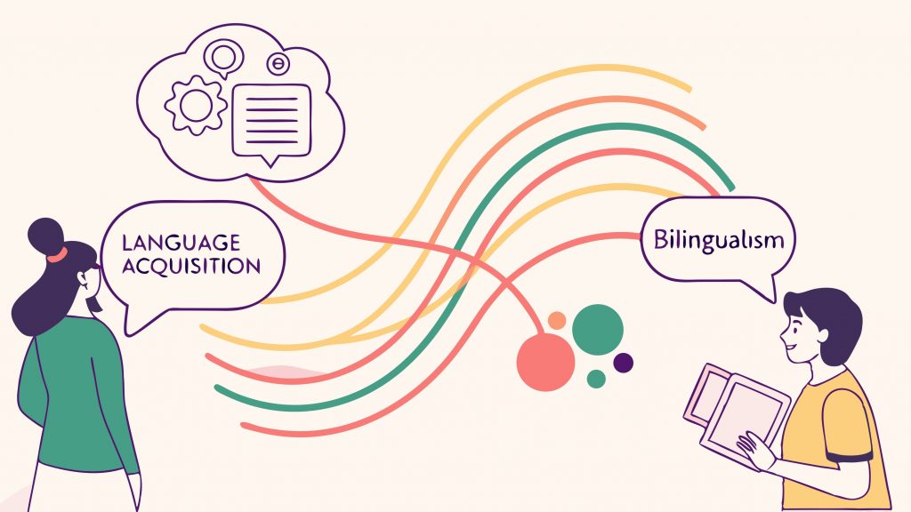 Illustration of bilingual brain and language learning